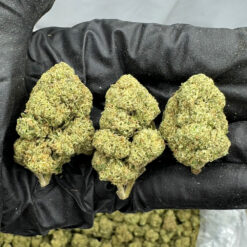 Jet Fuel Gelato