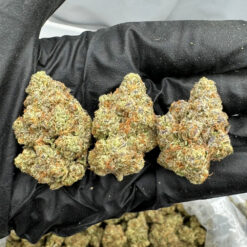 Strawberry Cough