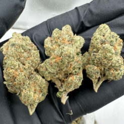 Top Gun THCa Flower