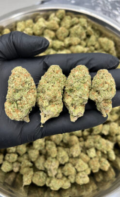 Lemon Pound Cake THCa Flower