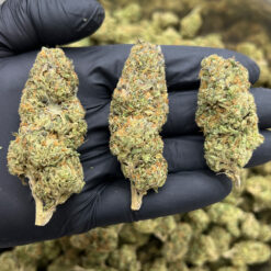 Super Lemon Haze THCA Flower