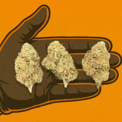 Blue Dream #2