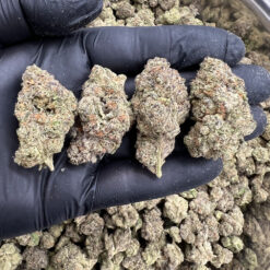 Raspberry Gas