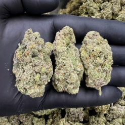 Blue Dream #2