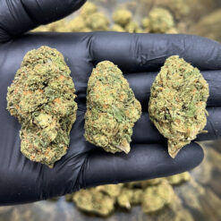 White Widow &mdash; Sativa