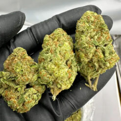 Jet Fuel &ndash; Sativa-Dominant Hybrid