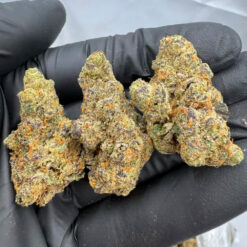 Sex Panther &ndash; Indica-Dominant Hybrid