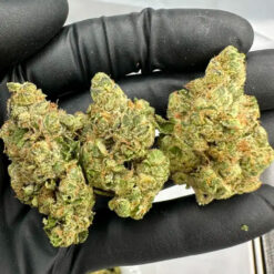 Kosher Kush &ndash; Indica-Dominant Hybrid